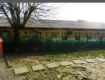 Allevamento pensione cani