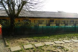 Allevamento pensione cani