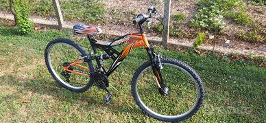 MTB biammortizzata
