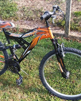 MTB biammortizzata
