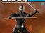 Immagine 6
