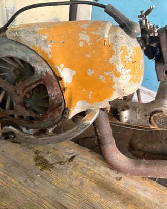 Morore vespa struzzo sigla vl3m
