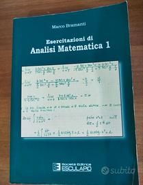Esercitazioni di Analisi Matematica 1 - Bramanti