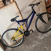 bicicletta arrampichino