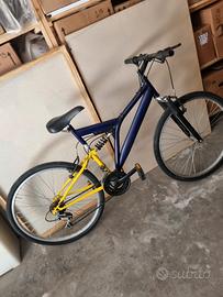 bicicletta arrampichino