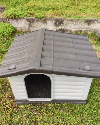 cuccia per cani 