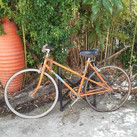 Bicicletta "Cortina"