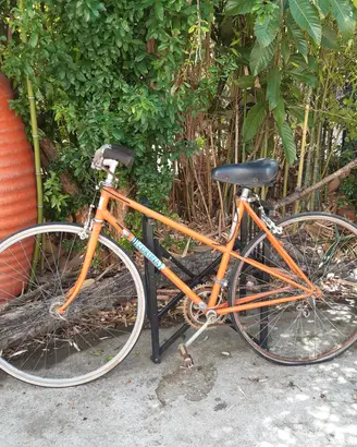 Bicicletta "Cortina"