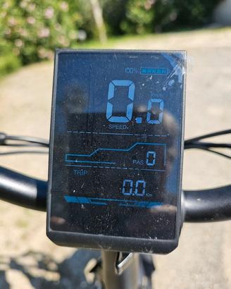 bicicletta