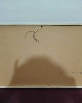 Specchiera bagno