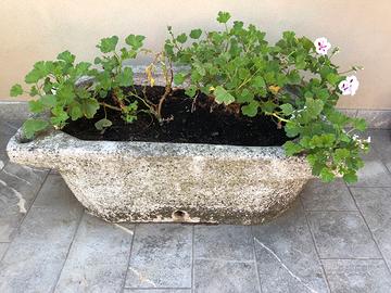 Coppia di Vasi antichi interamente in sasso