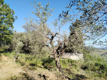 Terreno con fabbricato