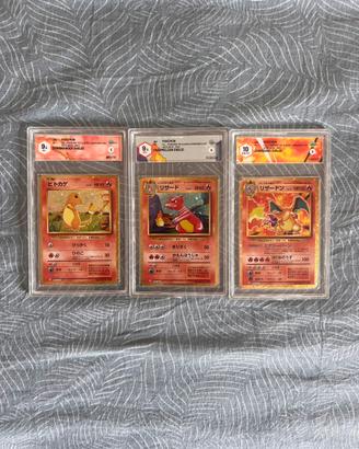 Linea evolutiva Charizard CLK GRAAD 10