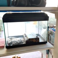 acquario 50 litri 