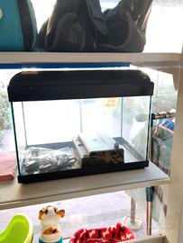 acquario 50 litri 