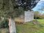 Immagine 20
