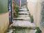 Immagine 7
