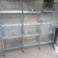 batteria gabbie con carrello da 65