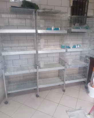 batteria gabbie con carrello da 65