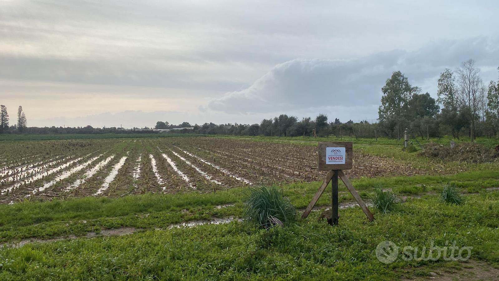 Terreno agricolo a 500 metri da Decimomannu - Vista 3