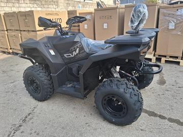 QUAD 250cc XXL RUOTE 10 CYBERROAMER