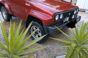 Bertone Free climber 2
