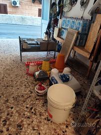 incubatrice più accessori 