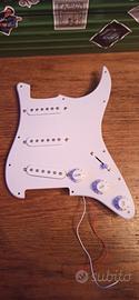 battipenna cablato Squier bullet stratocaster