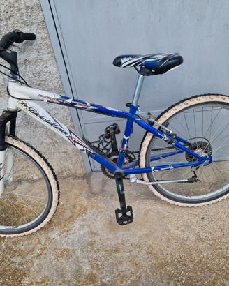 Biciclette
