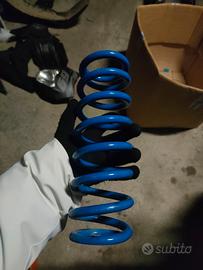 Molla ammortizzatore 