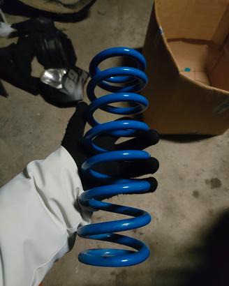 Molla ammortizzatore 