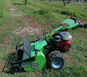 Trinciasarmenti Lampacrescia MGM 