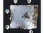 Immagine 29