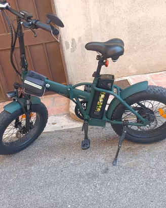 Bici elettrica 1000 watt
