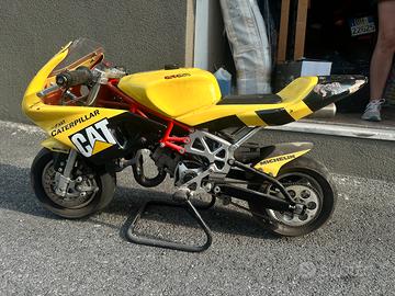 Mini moto da pista grafiche CAT