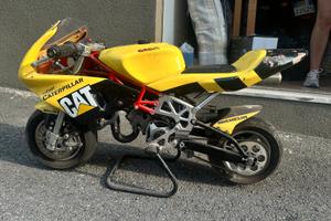 Mini moto da pista grafiche CAT