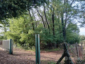 Terreno Agricolo Artena
