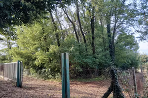 Terreno Agricolo Artena