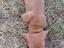 Immagine 3