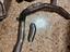 Immagine 4