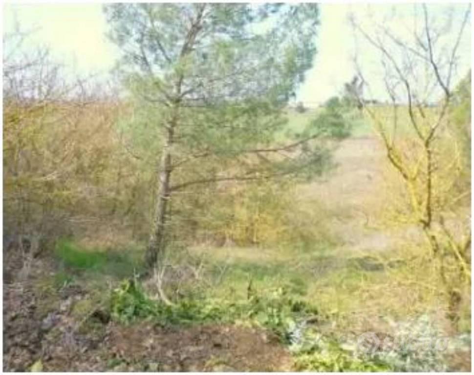 Immobile in asta di 30051 m² a Arezzo - Vista 4