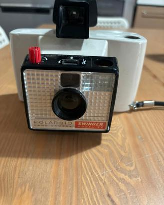 Polaroid swinger