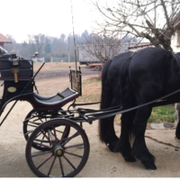 Carrozza modello Vittoria