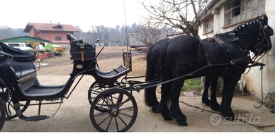 Carrozza modello Vittoria