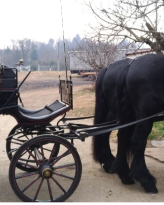 Carrozza modello Vittoria