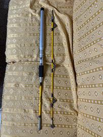 Canna da pesca ‘Italcanna LBS 20’