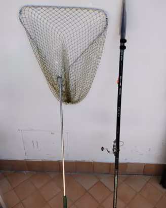 bolognese carbonio