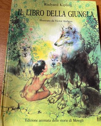Libro vintage 
