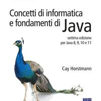 Libro Concetti di informatica e fondamenti di java