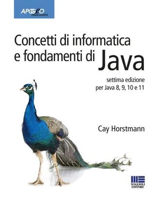 Libro Concetti di informatica e fondamenti di java